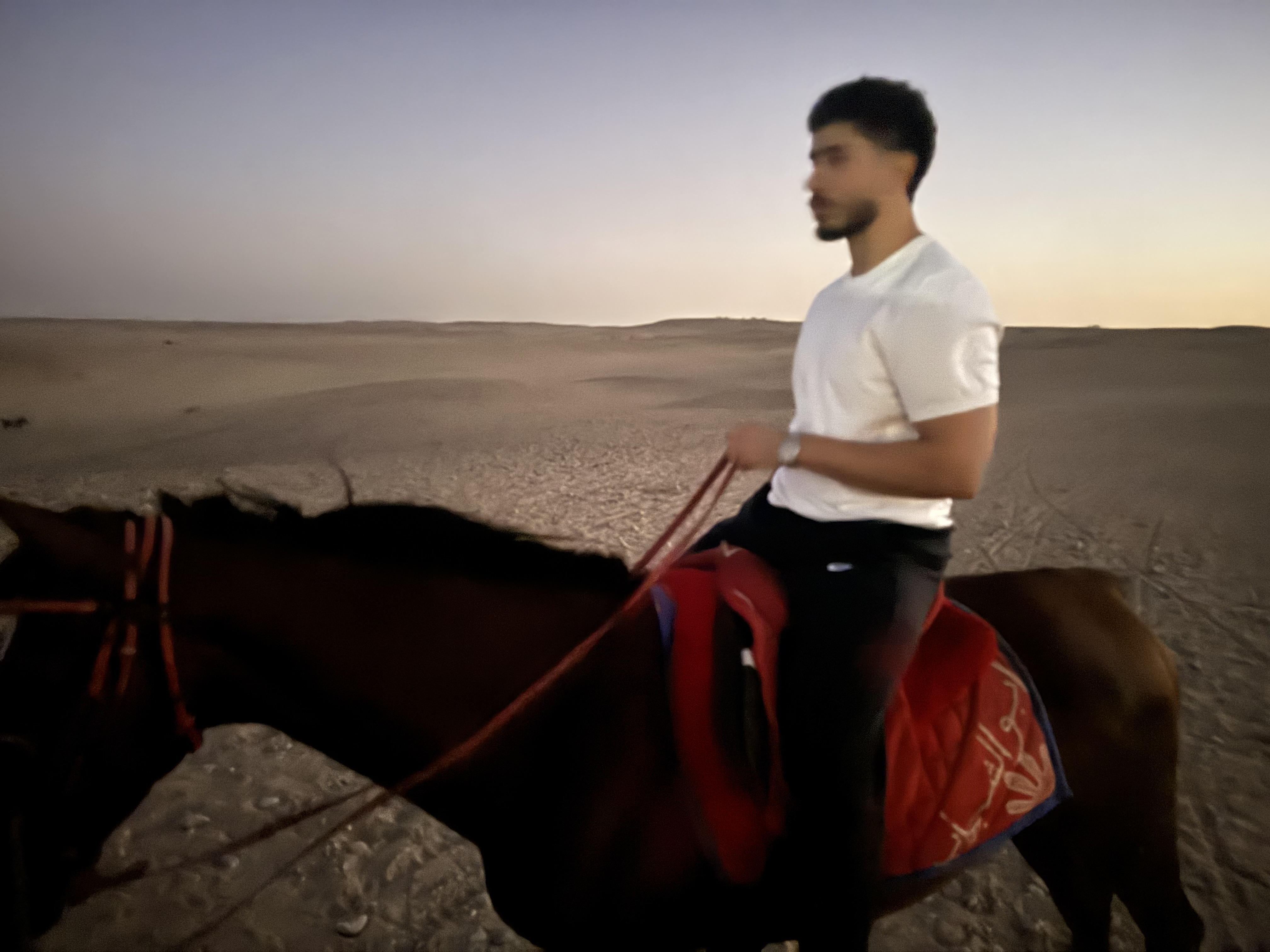 Karim Ali